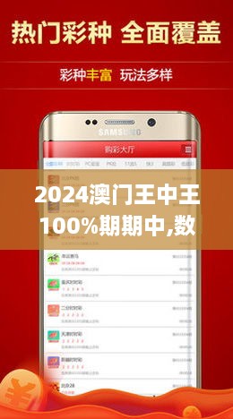 2024年新澳门王中王免费,全面设计执行方案_Ultra13.595